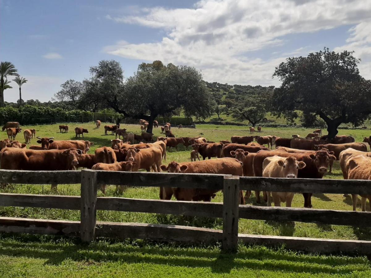 Alojamiento Rural Finca Barral El Garrobo Buitenkant foto