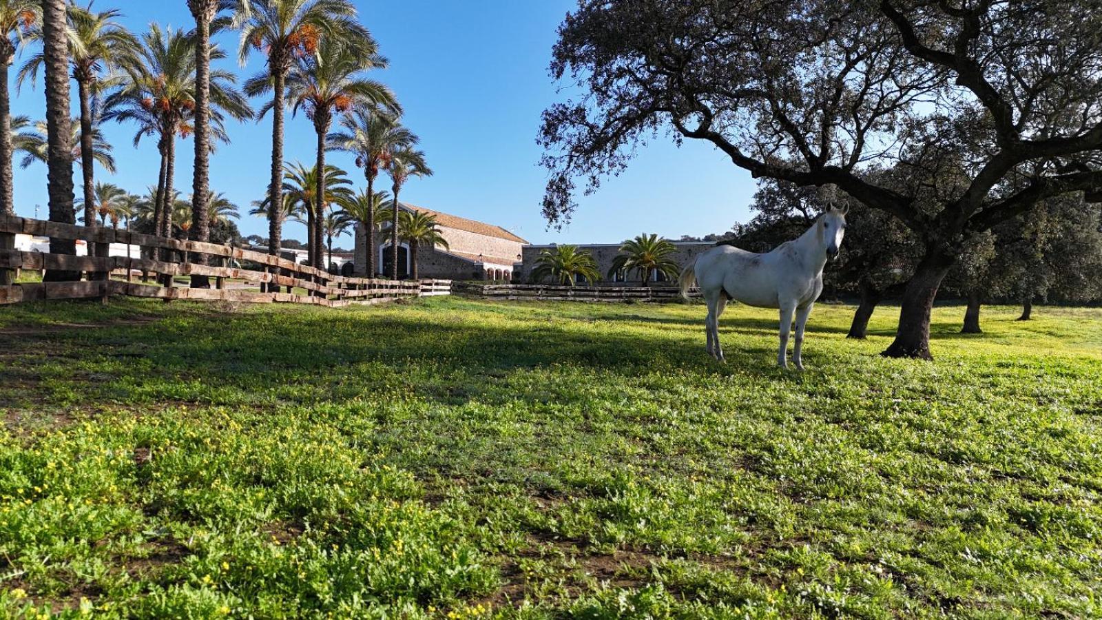 Alojamiento Rural Finca Barral El Garrobo Buitenkant foto