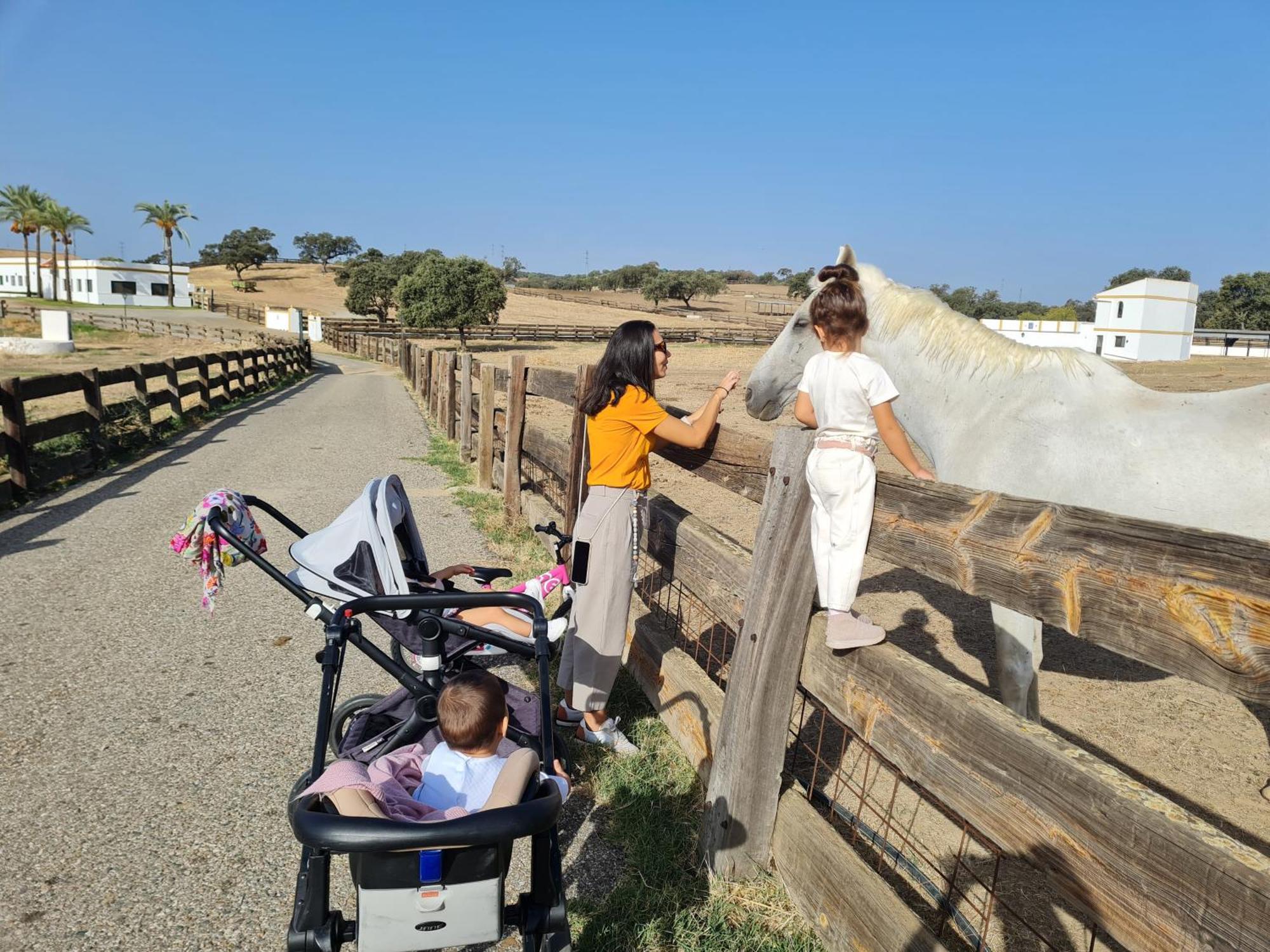 Alojamiento Rural Finca Barral El Garrobo Buitenkant foto