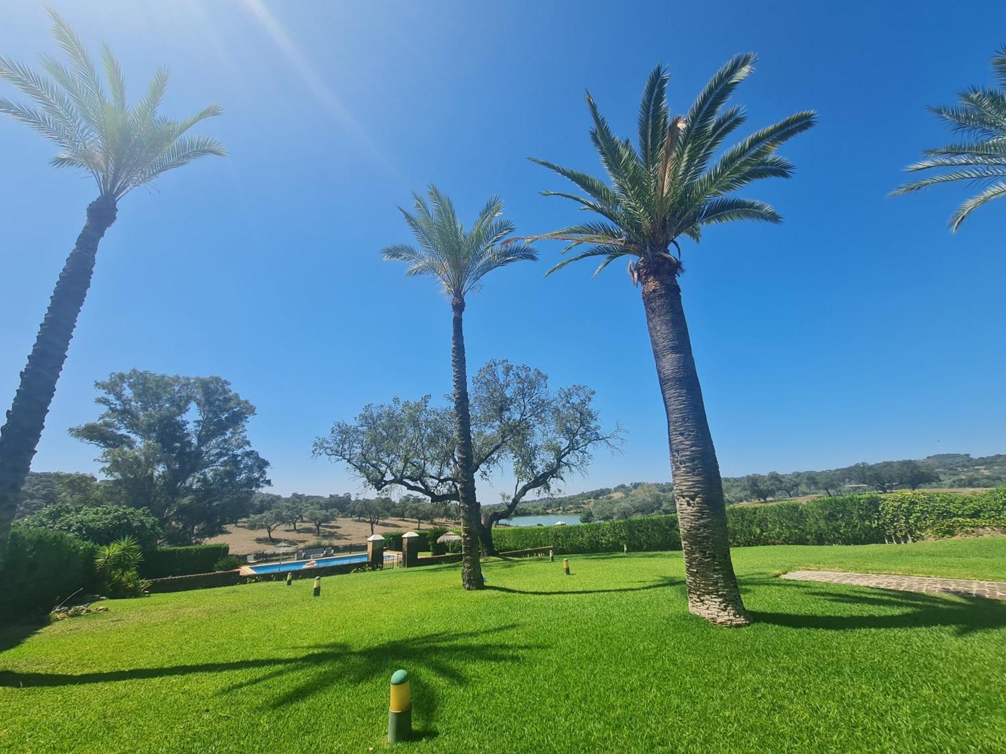 Alojamiento Rural Finca Barral El Garrobo Buitenkant foto