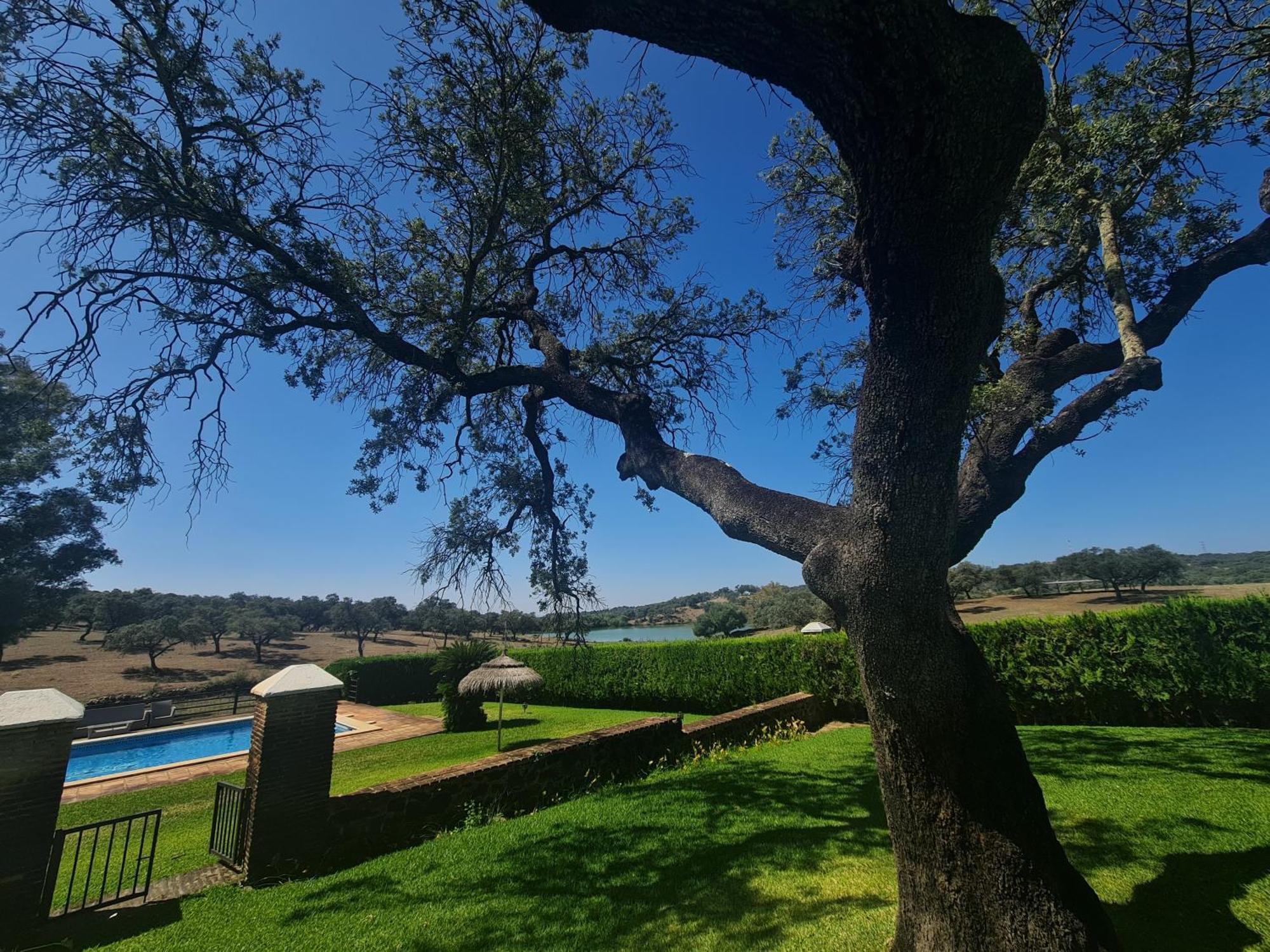 Alojamiento Rural Finca Barral El Garrobo Buitenkant foto