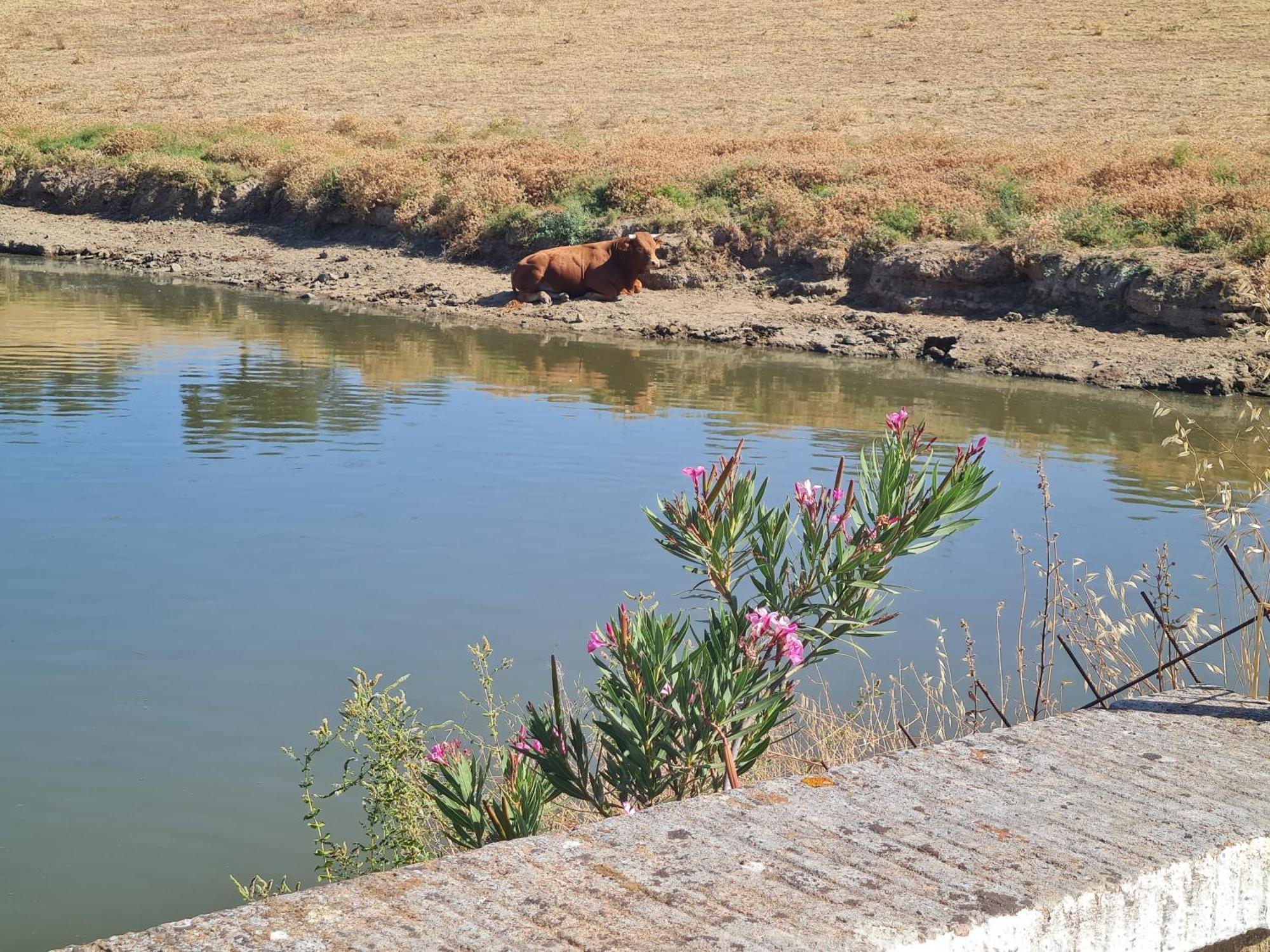 Alojamiento Rural Finca Barral El Garrobo Buitenkant foto